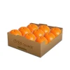 Orko Deshi Orange 1 Dozen